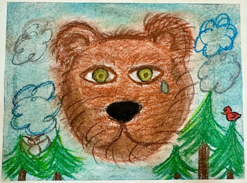 bear3