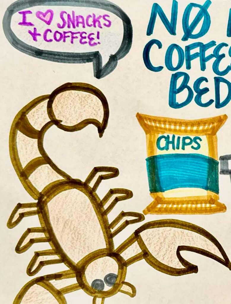 no coffee
