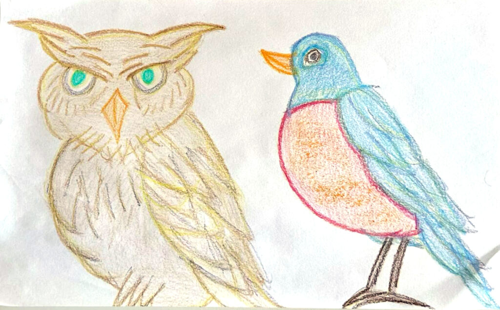 owl robin