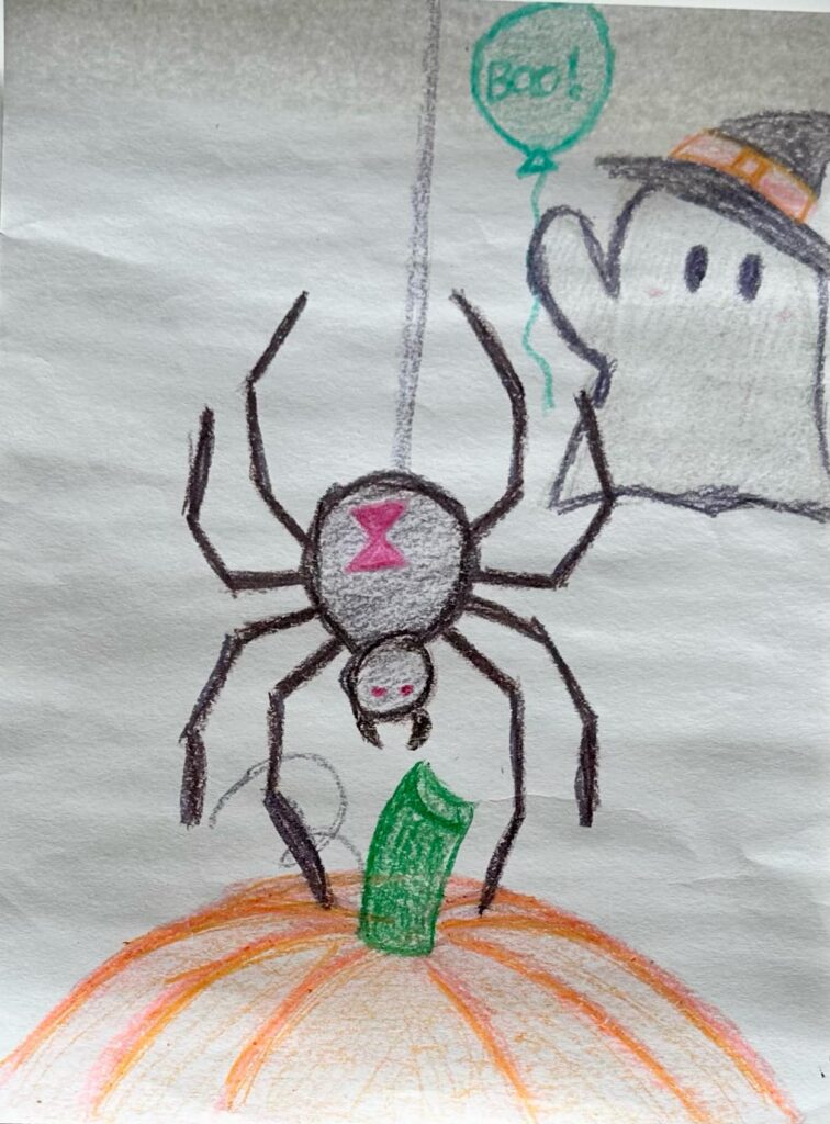spider